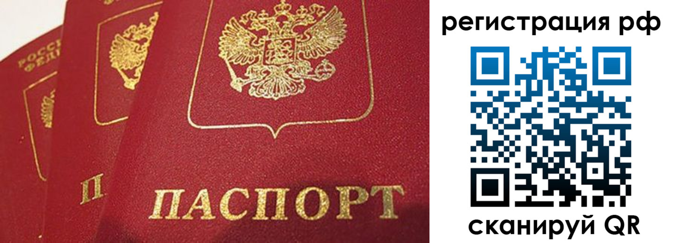 прописка в квартире в Рязанской области